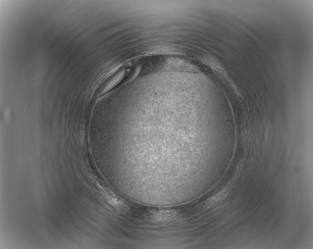 X0000061110833200512022123