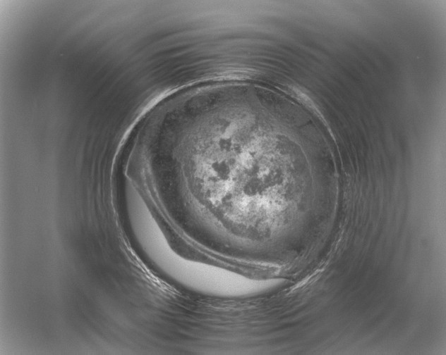 X0000061110835200512022123