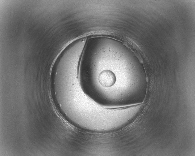 X0000061110836200512022123