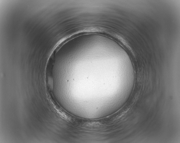 X0000061110837200512022123