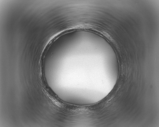 X0000061110838200512022123