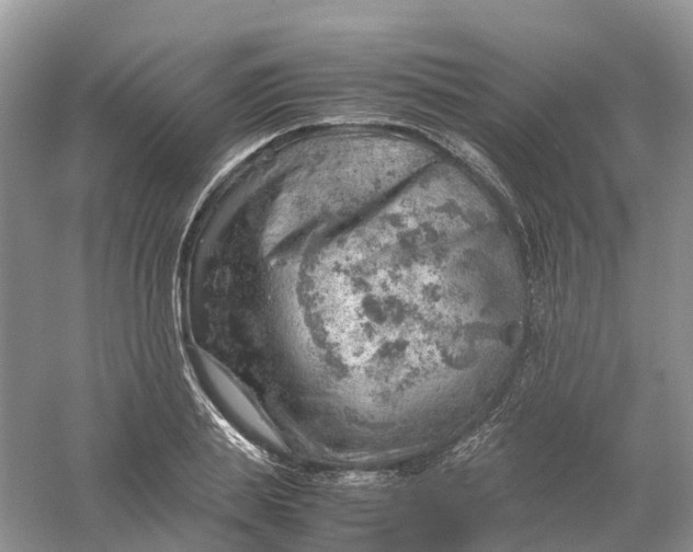 X0000061110839200512022123