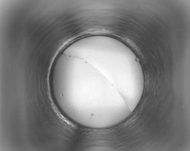 X0000061110840200512022123