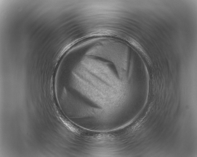 X0000061110842200512022123