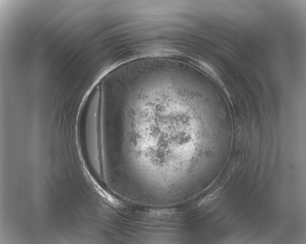 X0000061110843200512022123