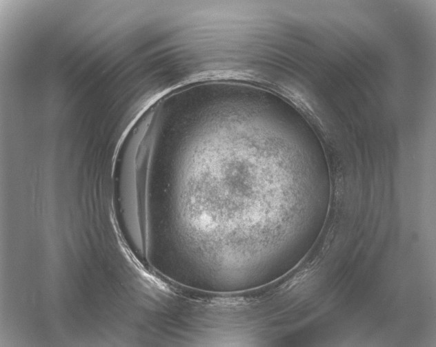 X0000061110844200512022123