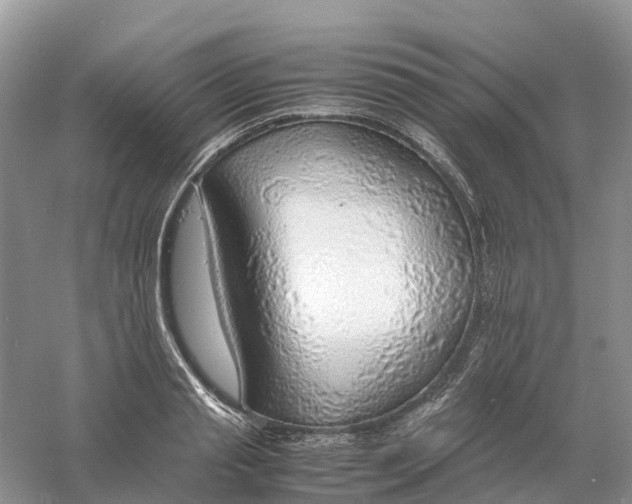 X0000061110845200512022123