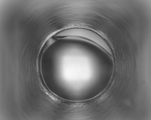 X0000061110846200512022123