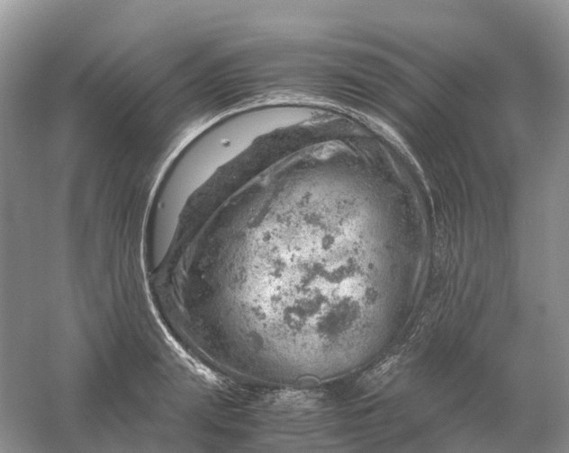 X0000061110847200512022123