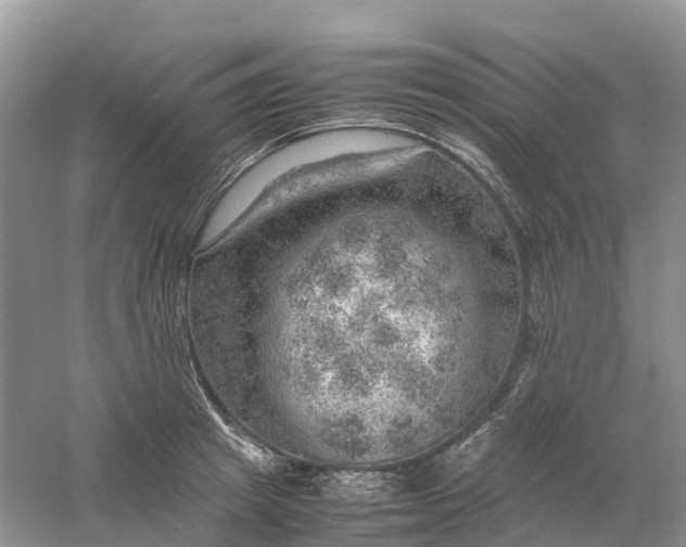 X0000061110849200512022123