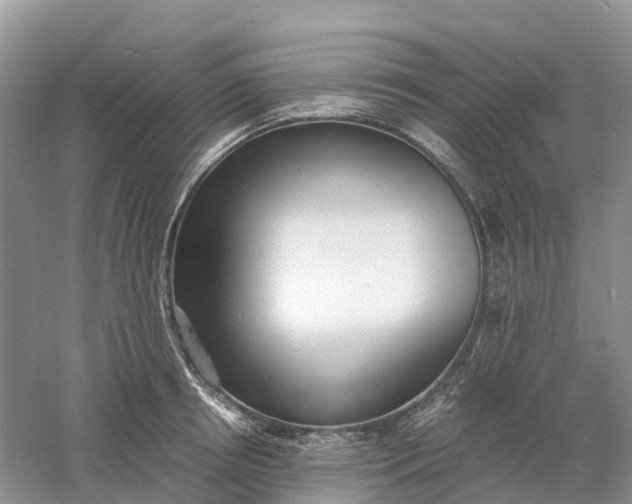 X0000061110850200512022123