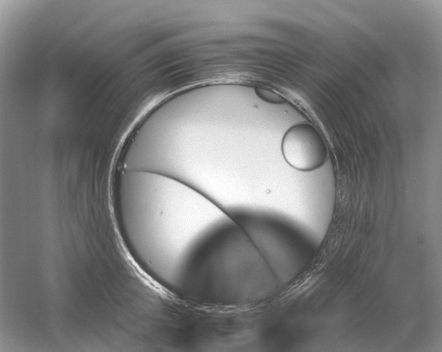 X0000061110851200512022123