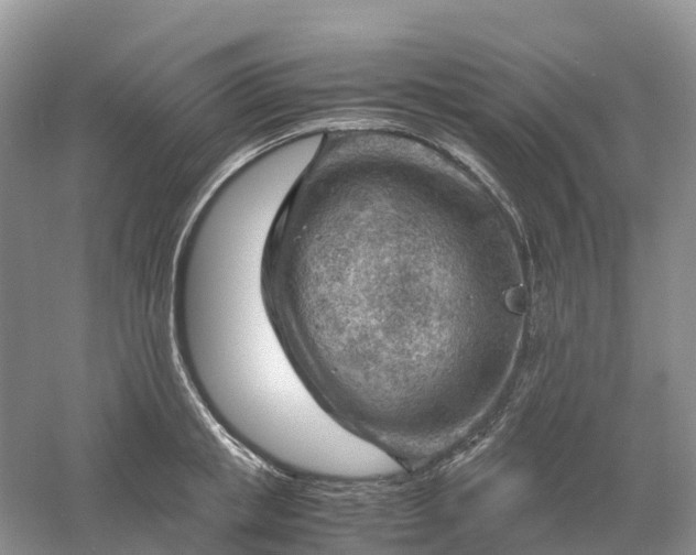 X0000061110853200512022123