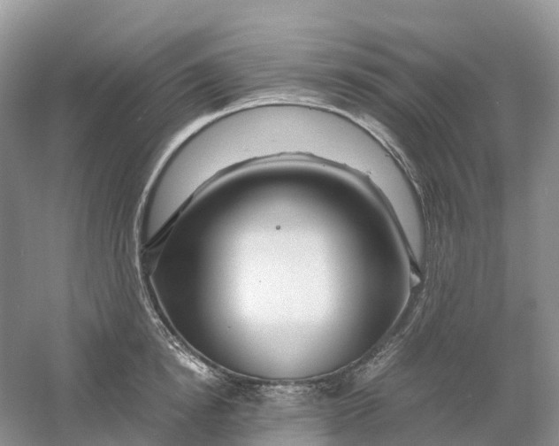 X0000061110854200512022123