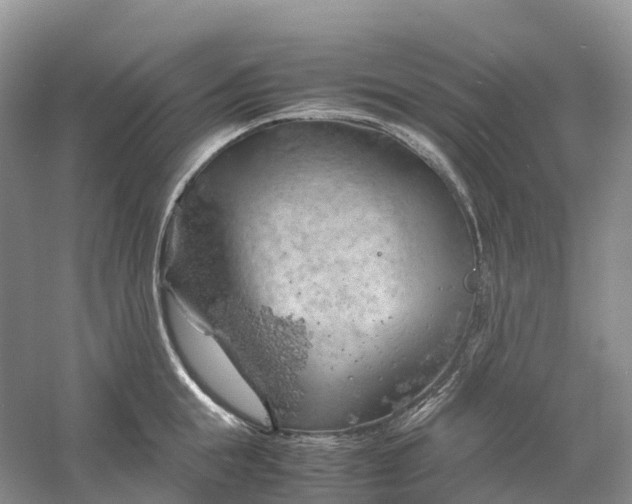 X0000061110855200512022123