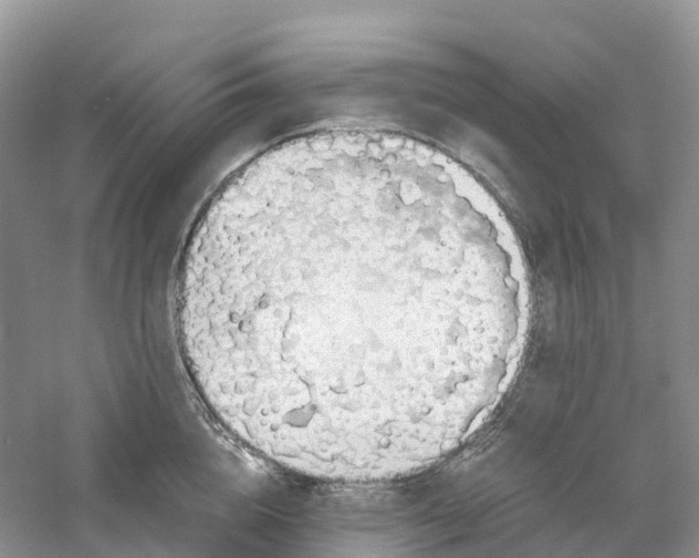 X0000061110856200512022124