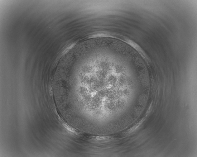 X0000061110857200512022124