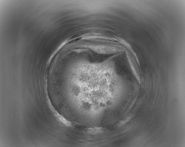 X0000061110859200512022124