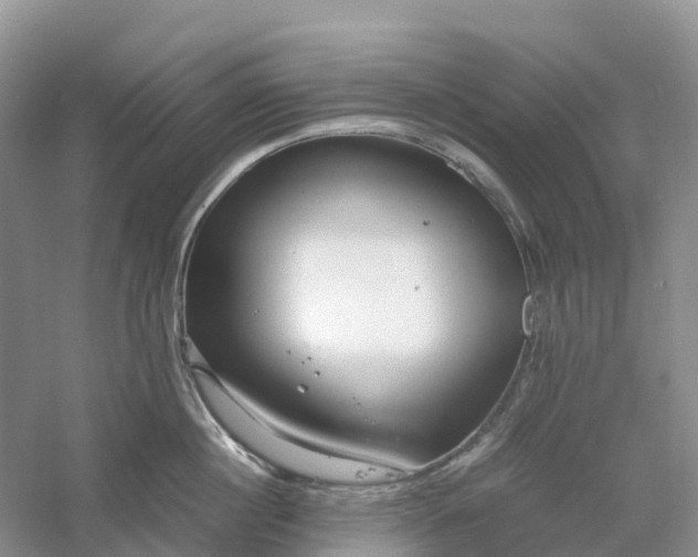 X0000061110860200512022124