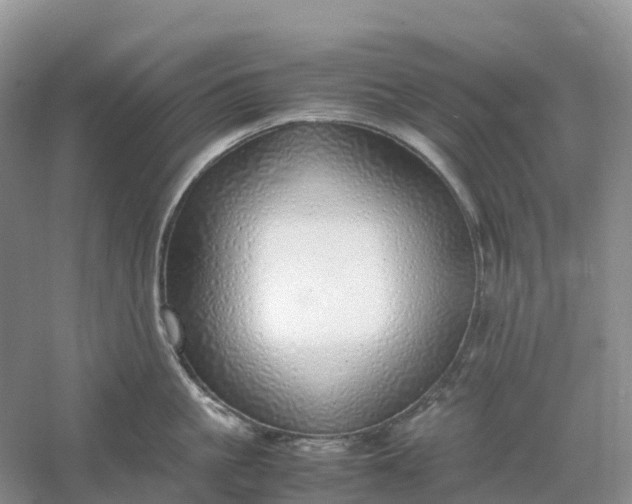 X0000061110861200512022124