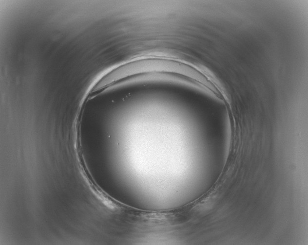 X0000061110862200512022124