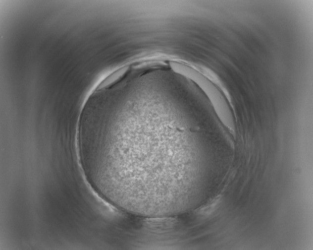 X0000061110863200512022124