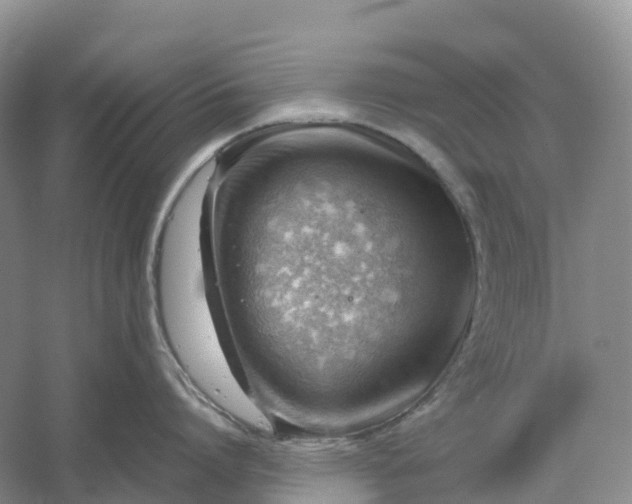 X0000061110864200512022124