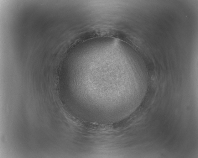 X0000061110865200512022123