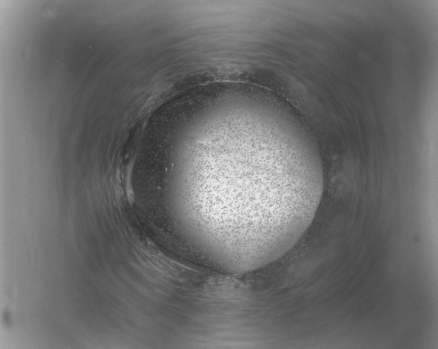 X0000061110866200512022123