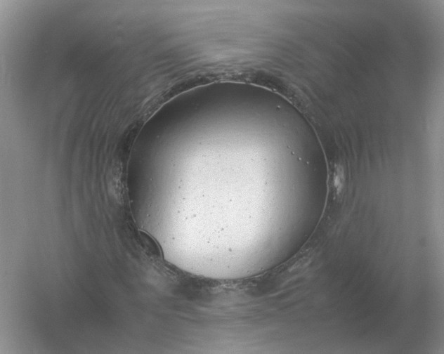 X0000061110867200512022123