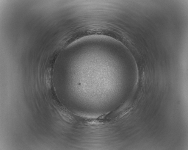 X0000061110868200512022123