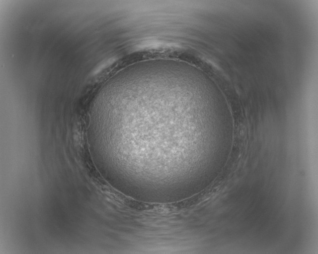 X0000061110869200512022123