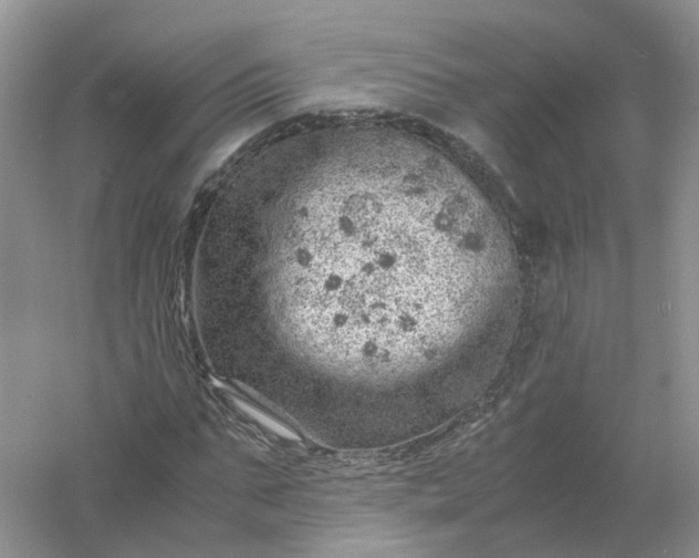 X0000061110871200512022123