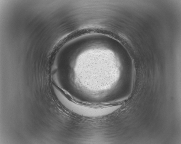 X0000061110872200512022123