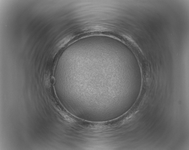 X0000061110873200512022123