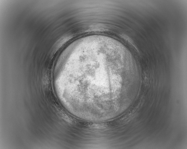 X0000061110874200512022123