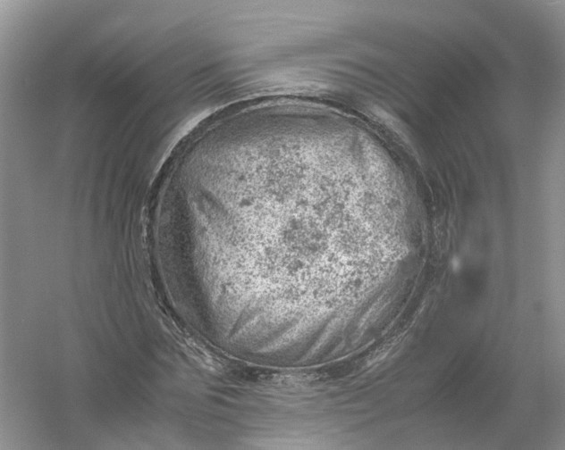 X0000061110875200512022123