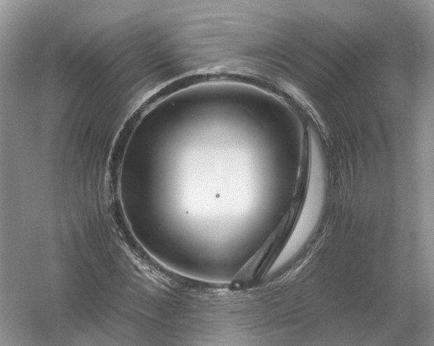 X0000061110876200512022123