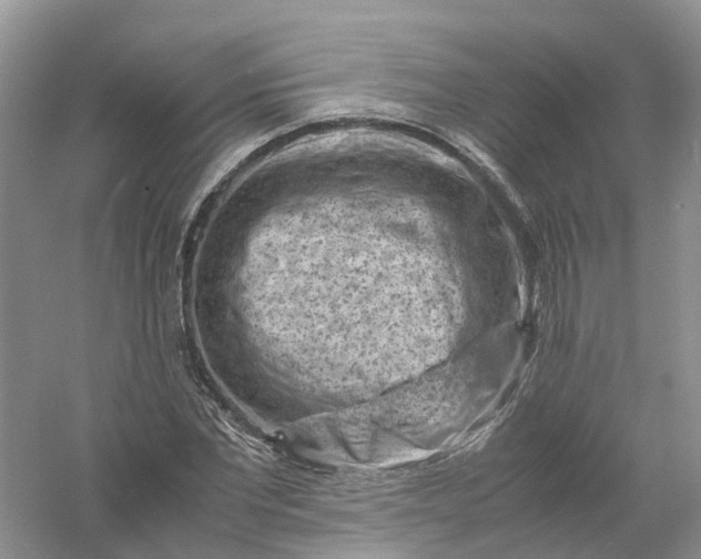 X0000061110877200512022123