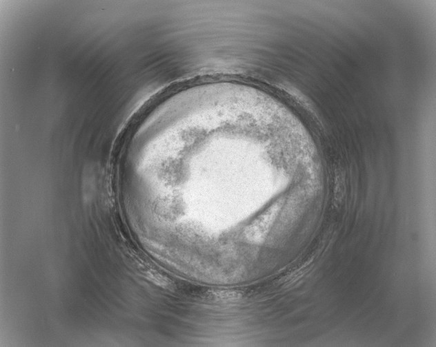 X0000061110878200512022123