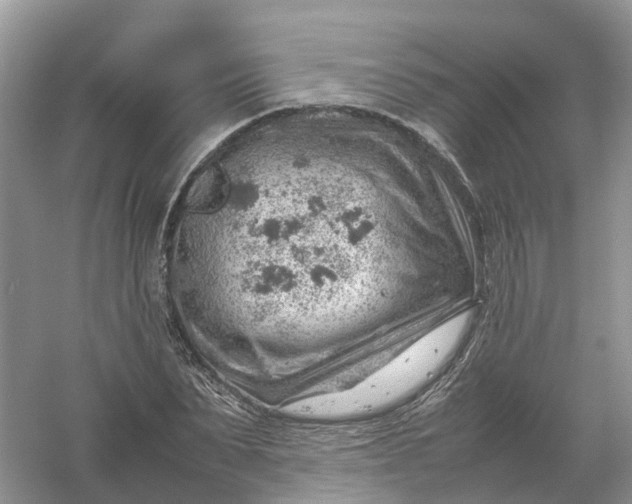 X0000061110879200512022123