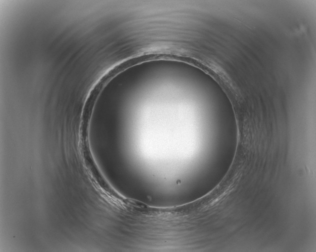 X0000061110880200512022123