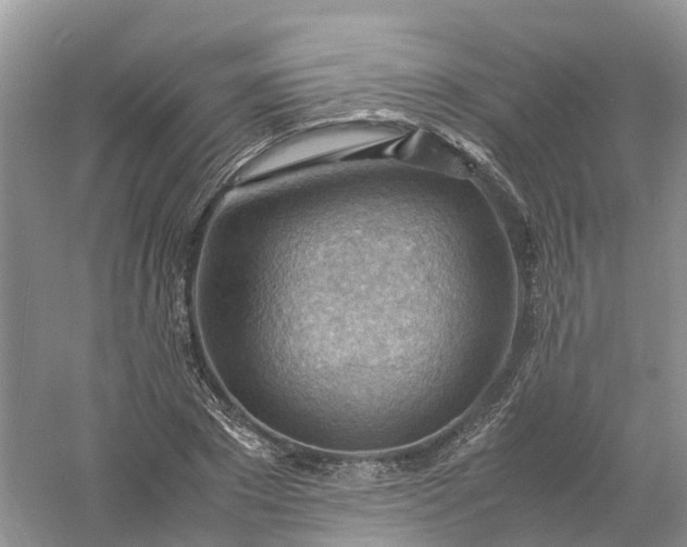 X0000061110881200512022123