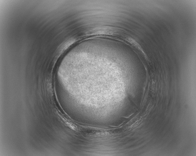 X0000061110882200512022123