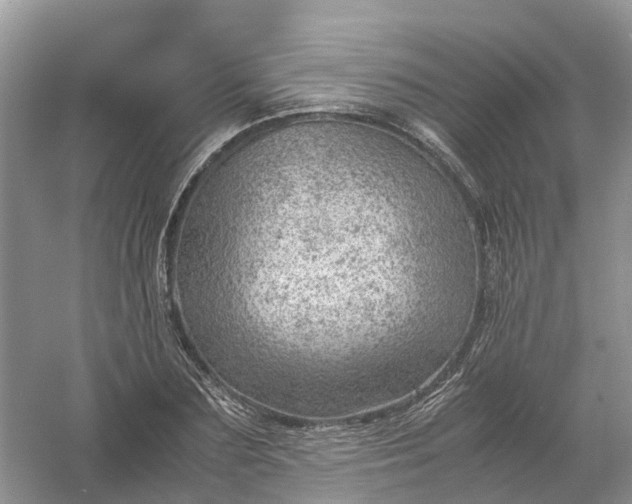 X0000061110883200512022123