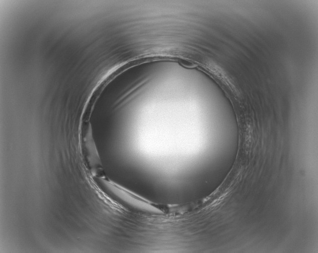 X0000061110884200512022122