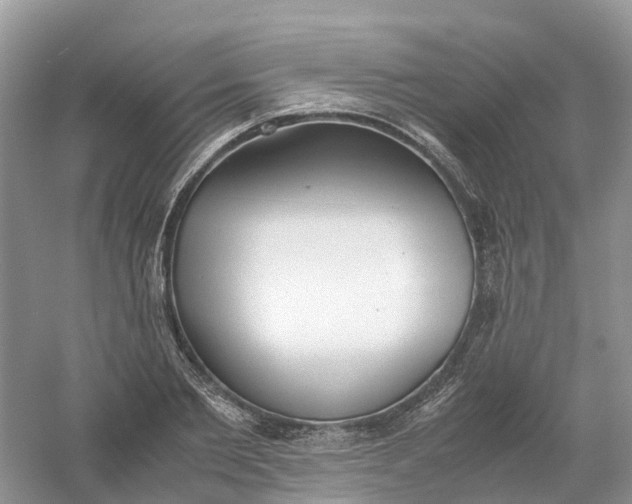 X0000061110885200512022122