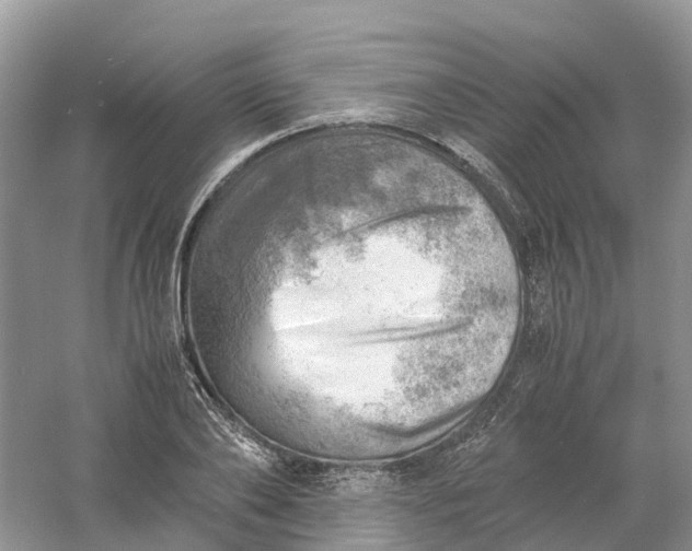 X0000061110886200512022122