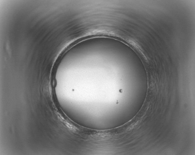 X0000061110888200512022122