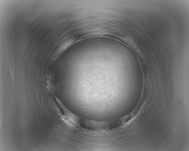 X0000061110889200512022122